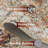 Machine Washable Gap Bohemian Style Carpet