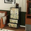 Armoire de salon moderne simple française