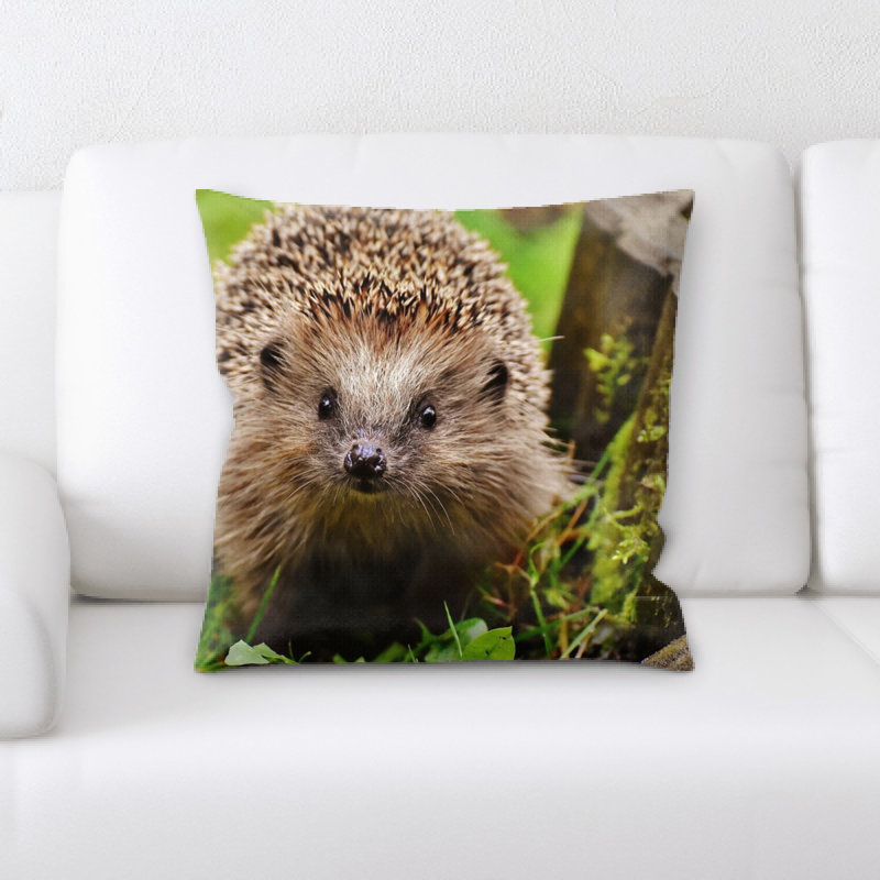 Coussin décoratif pour enfant hedgehog