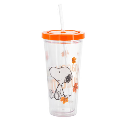 Gibson Homewares Peanuts 24 Ounce Clear Plastic Tumbler
