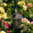 Bryar Metal Hanging Decorative Bird Feeder
