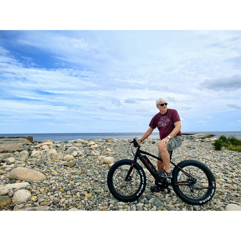 Rogue Wave -- Mountain Ebike