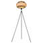 Ailina 150cm Novelty Floor Lamp