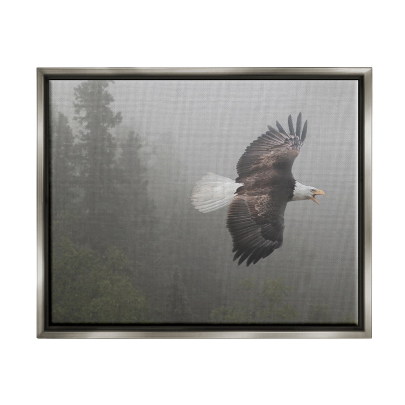 Aigle en vol dans la nature sur bois par Shane Lamb, photographie, H 17 po x l 21 po x P 1,7 po, Cadre flottant noir de jais