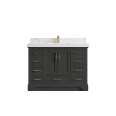 Charlotte 48'' Single Bathroom Vanity with Top