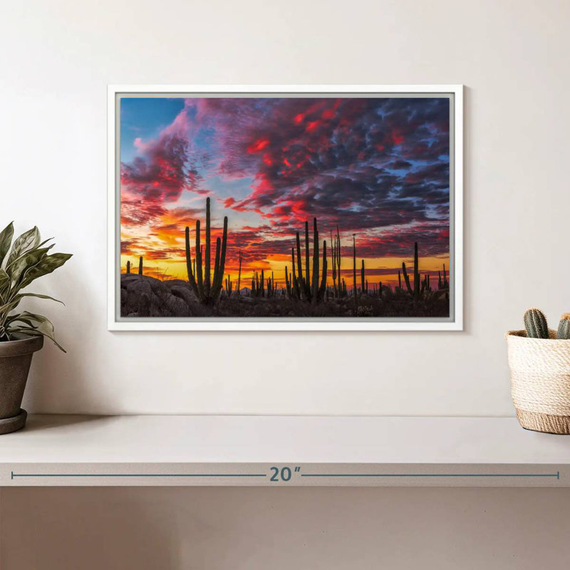 Forêt de cactus de Baja California, Cadre flottant blanc, 13 po x 9 po