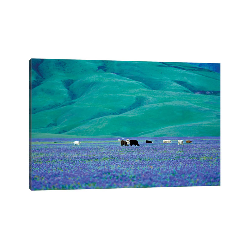 Cows In Lupine I by Dennis Frates - Print on Canvas, Wrapped Canvas, 45.72cm H x 66.04cm W x 1.91cm D