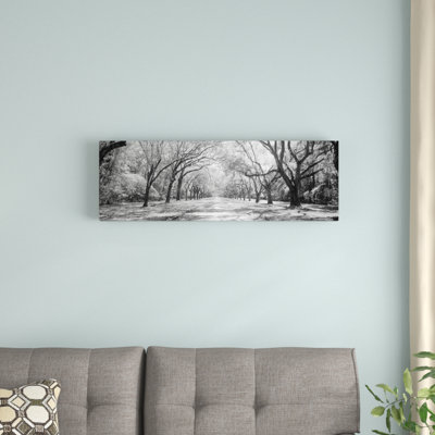 " Live Oaks And Spanish Moss Wormsloe State Historic Site Savannah " by Panoramic Images