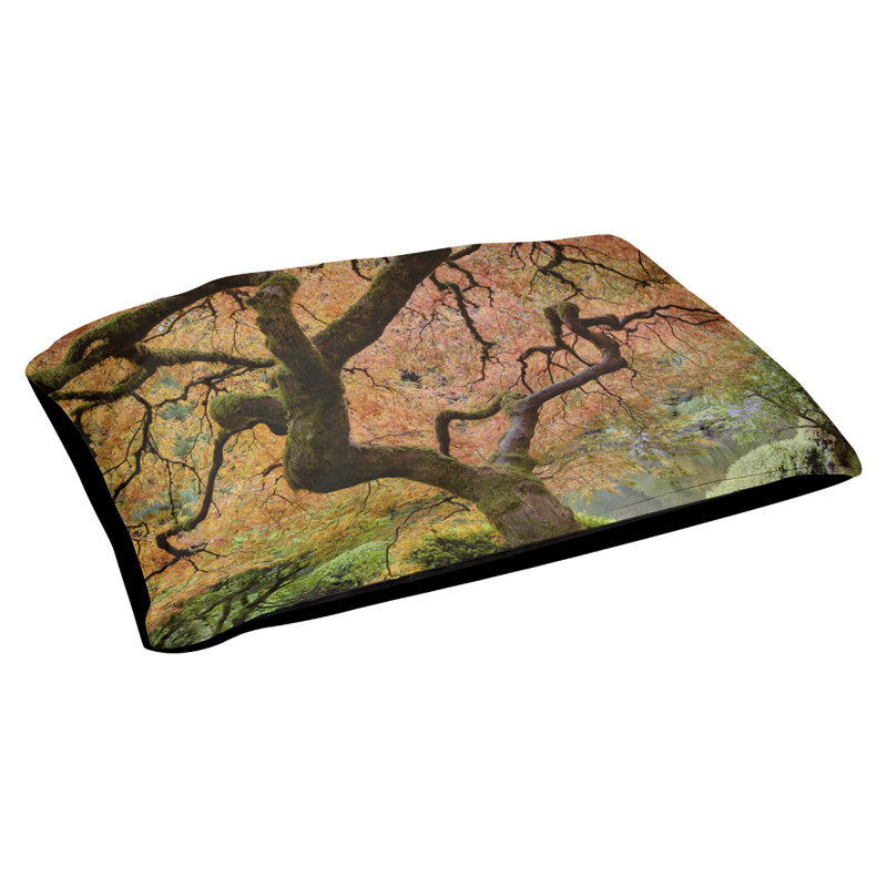 Coussin de designer de l’arbre d’érable japaneses Burkey, L 32,5 po x l 42,5 po, Orange / Noir