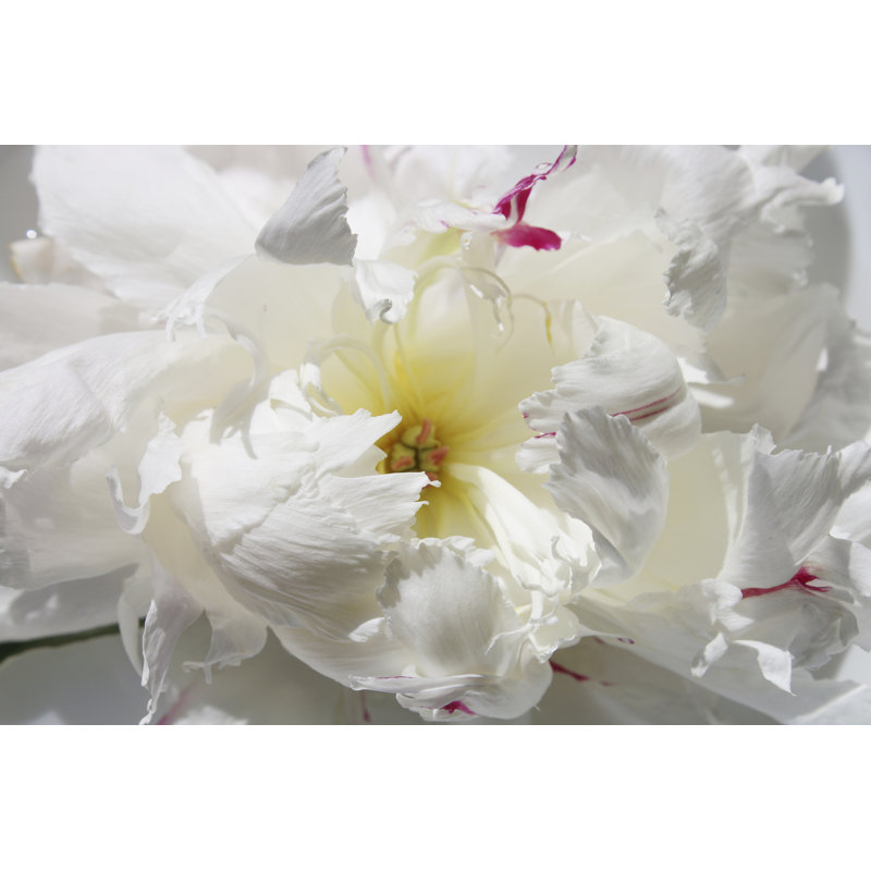 Breathless II by Irena Orlov - 1 Piece Wall Art on Canvas, 61cm H x 91cm W