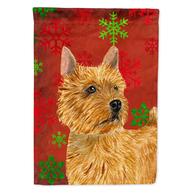Drapeau rouge et vert Vart, Norwich terrier (roux)