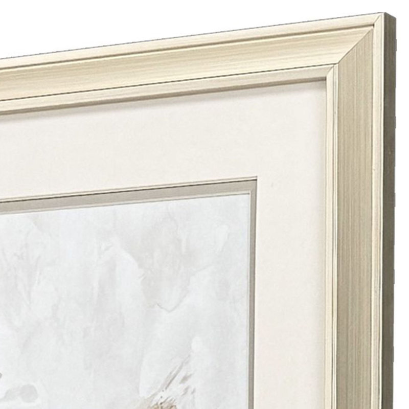 Hummingbird Song S/2 Print by Robinson Propac Images