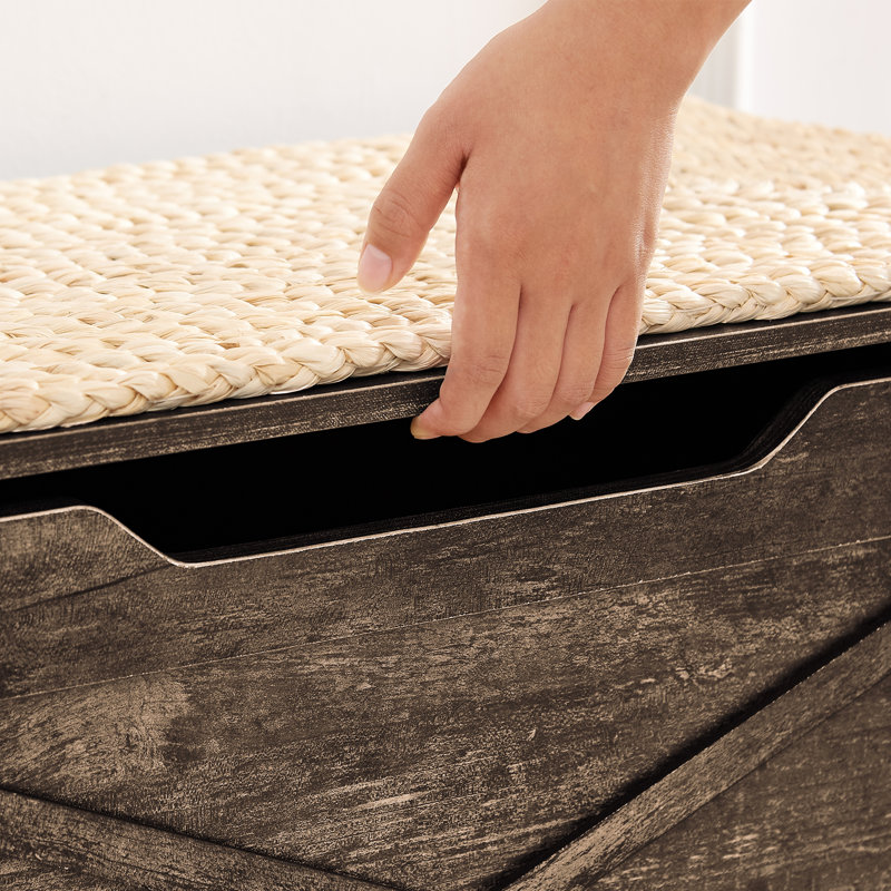 Banc de rangement rectangulaire Pania, H 18,5 po x l 43,3 po x P 15 po, Brun