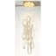 Lustre en acier inoxydable à 32 lumières Windfall JEWEL-89097237-89097238-89097236