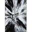 Tapis noir lavable décoratif-1228356716