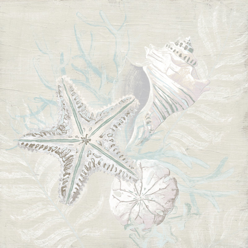 Weathered Shell Sketch I by June Erica Vess - Wrapped Canvas Painting, 30cm H x 30cm W