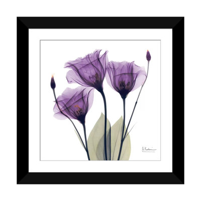 «Gentian Hope», impression sur toile