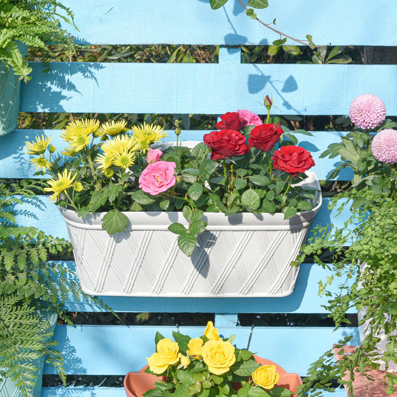 Wall Planter, Gray White