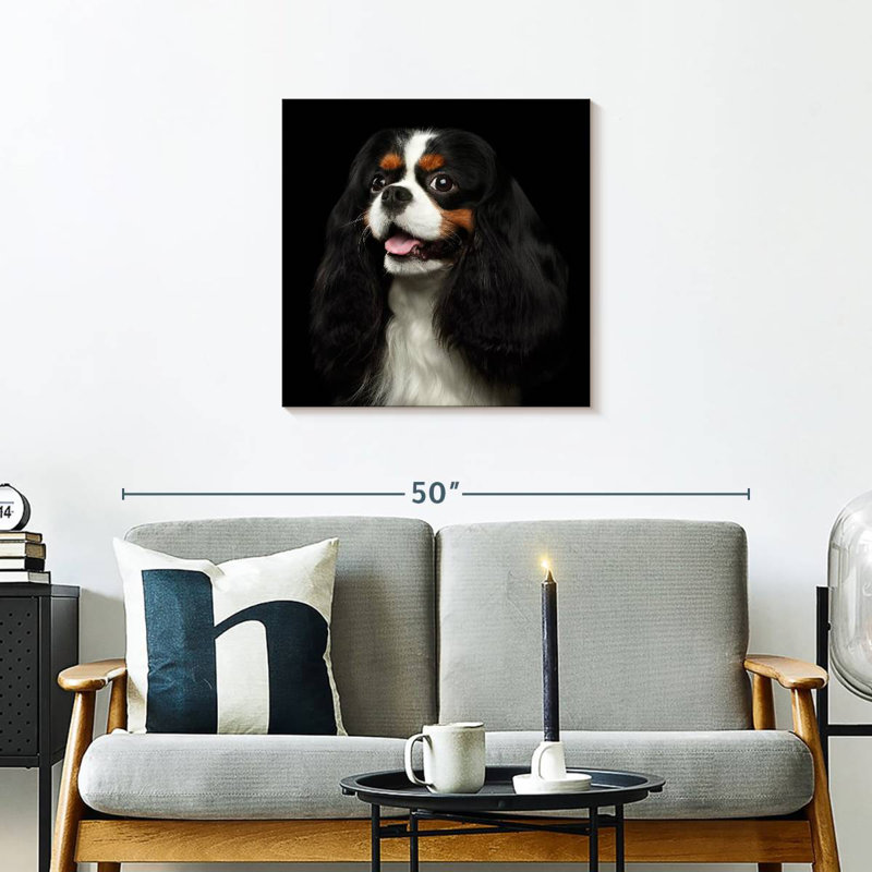 Crowle King Charles Spaniel Pup, 24" H x 24" W