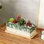 Planter Box