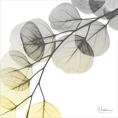 " Brilliant Eucalyptus 1 " by Albert Koetsier
