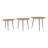 Ashelynn Solid Wood Top Nesting Tables-577835244