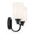 14.25" 2-Light Vanity Light with Glass-108202173-108202176