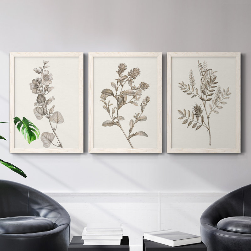 Neutral Botanical Study I - Ensemble de 3 reproductions d'art sur toile, H 43,5 po x l 31,5 po x P 1 po, Blanc