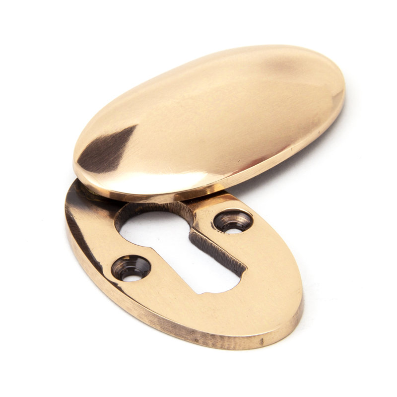 Escutcheon & Cover Door Accessory, Polished Bronze