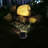 Poly Resin Solar Powered Integrated LED Spotlight