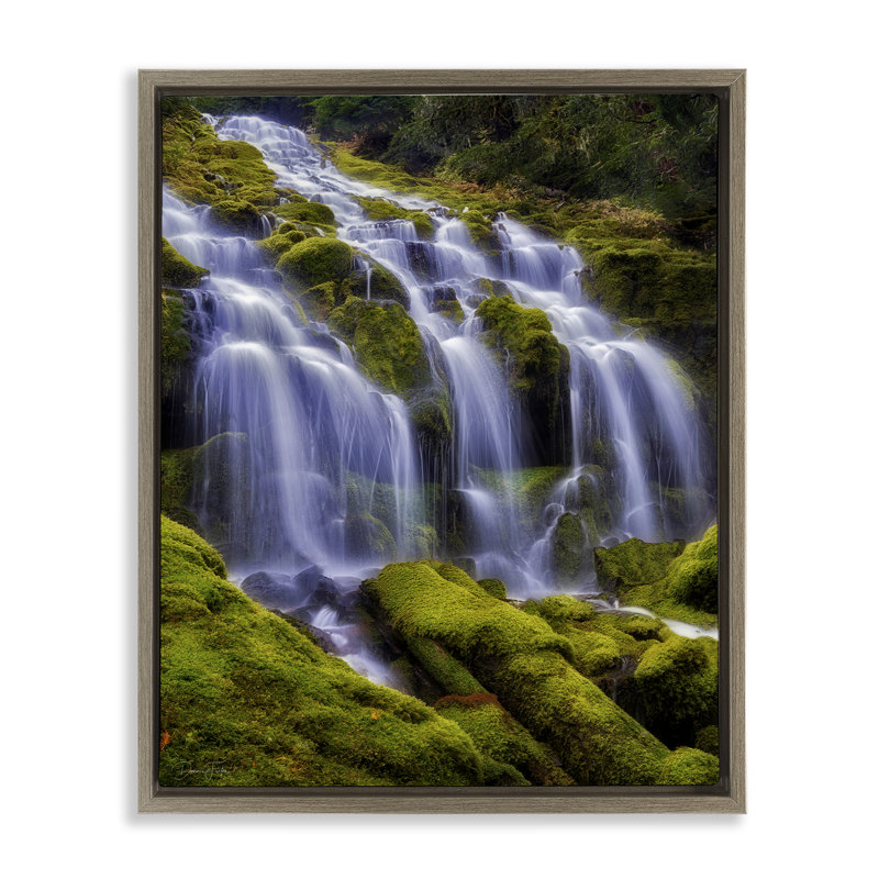 Cadre flottant Upper Proxy Falls, design par Dennis Frates, Montalcino orme flottant encadré, H 31 po x l 25 po