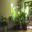 15" LED Lighted Art Glass