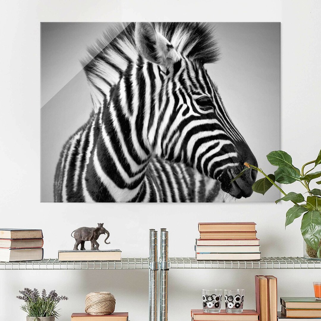 Glasbild Zebra-Baby-Porträt II