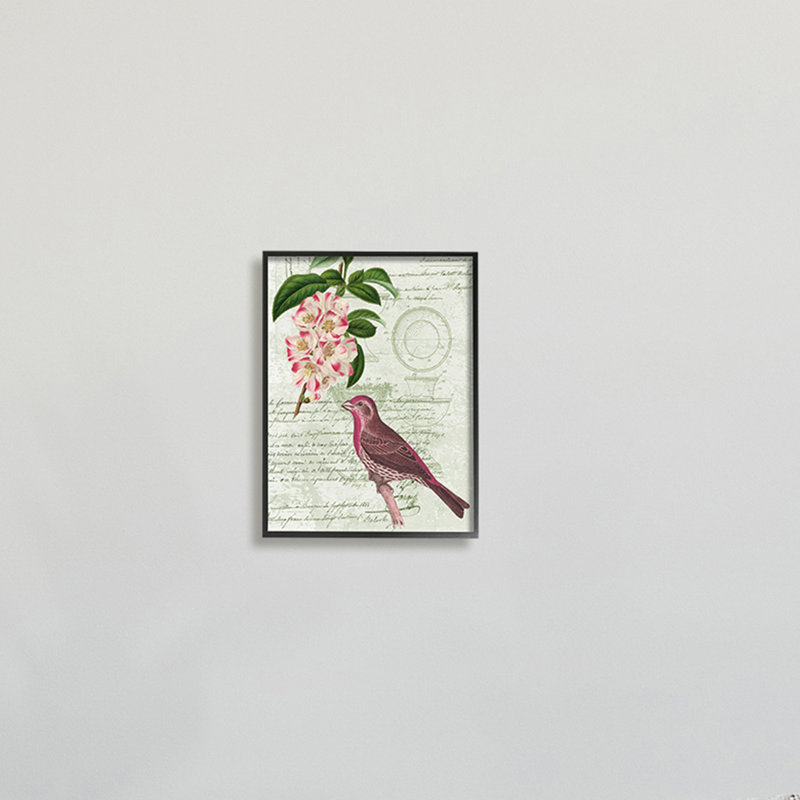 Rosier pinson par Daphne Polselli, H 14 po x l 11 po x P 1,5 po, Giclée encadrée blanc bord de mer
