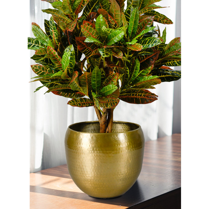 Raaghav Metal Cachepot, 10.50" H x 13" W x 13" D