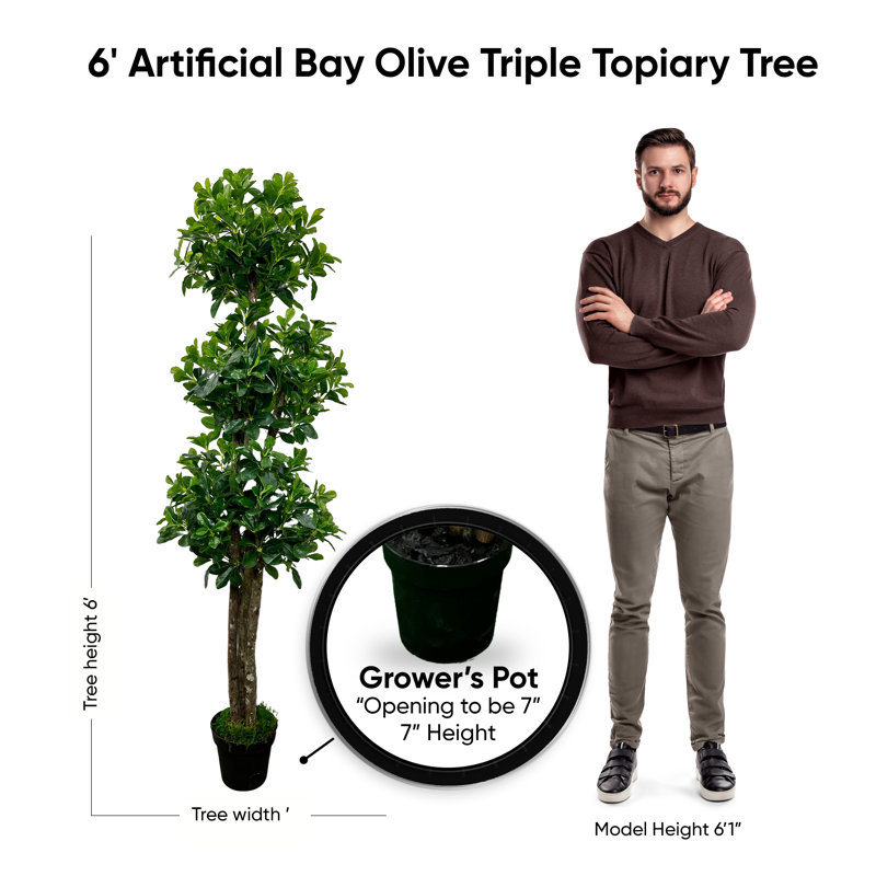 Topiaire vert olive fabriqué à la main avec bois véritable, H 72 po x l 30 po x P 30 po