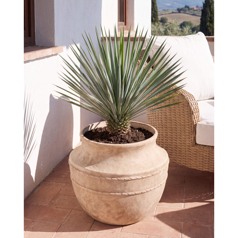 Plant Pot ASKIO 56 cm Beige