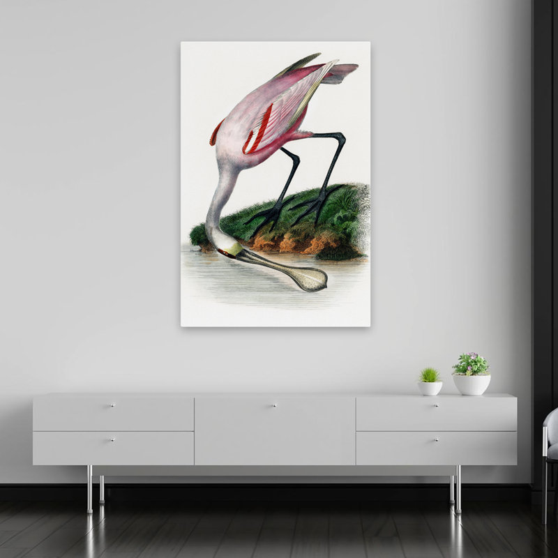 Spatule - animaux, oiseaux, art, H 60 po x l 40 po