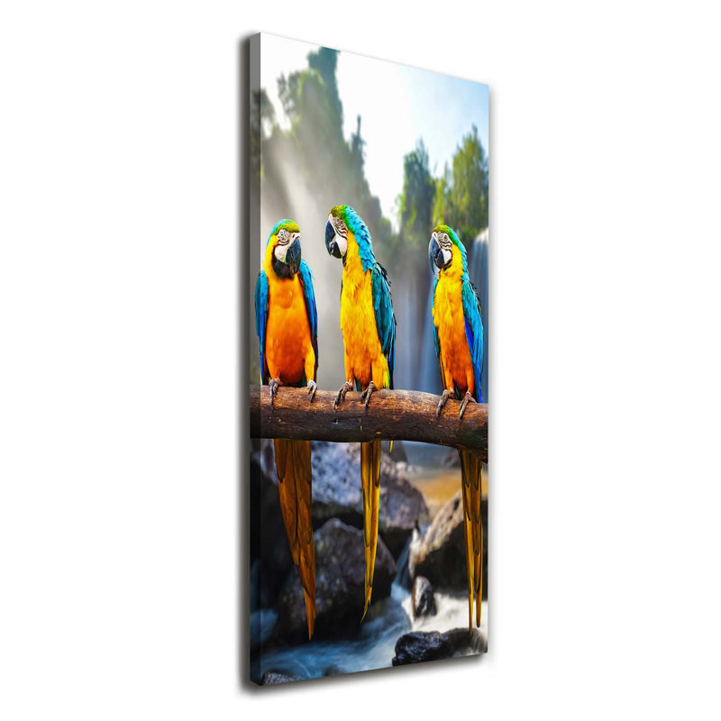 Macaw Parrots - Wrapped Canvas Print