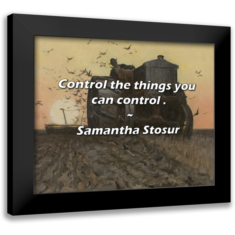 Samantha Stosur Quote: Control the things you can control .