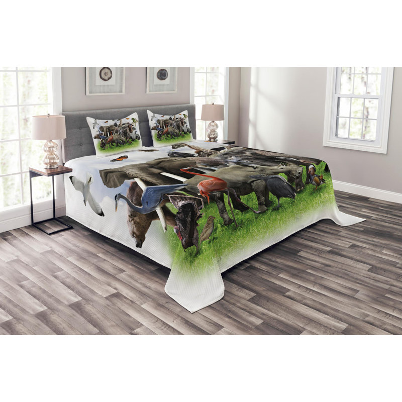 Eclectic Polyester Coverlet, Queen Coverlet + 2 Shams