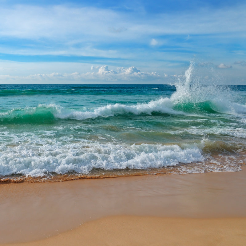 Tropical Ocean - Wrapped Canvas Print, 51cm H x 51cm W x 3.8cm D
