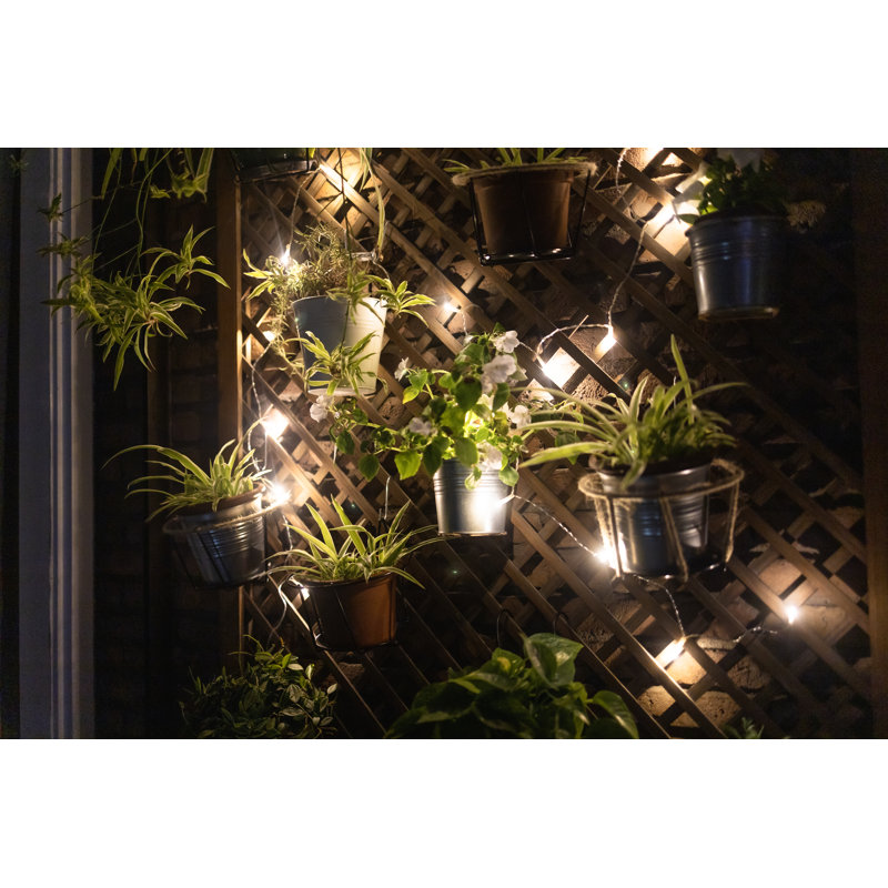 Vertical Garden With Fairy Lights - Wrapped Canvas Print, 30cm H x 46cm W