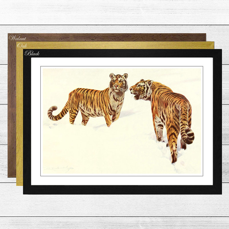 Vintage Siberian Tiger by Wilhelm Kuhnert - Framed Print, Black