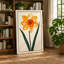 Daffodil Study Botanical - Wrapped Canvas-260314642-260314646