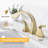 Widespread 2-handle Bathroom Faucet with Drain Assembly-64271552