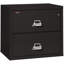 Fireproof 2 - Drawer File Cabinet-331546-217199