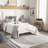 Corum Indoor Rug-1695039707