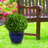Alawi 14.5" x 14.5" x 11.25" Round Ceramic Outdoor Planter - Imperial Blue-1353526142