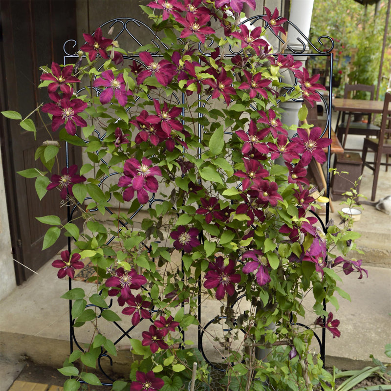 123cm H x 31cm W Metal Gothic Trellis Side Panel